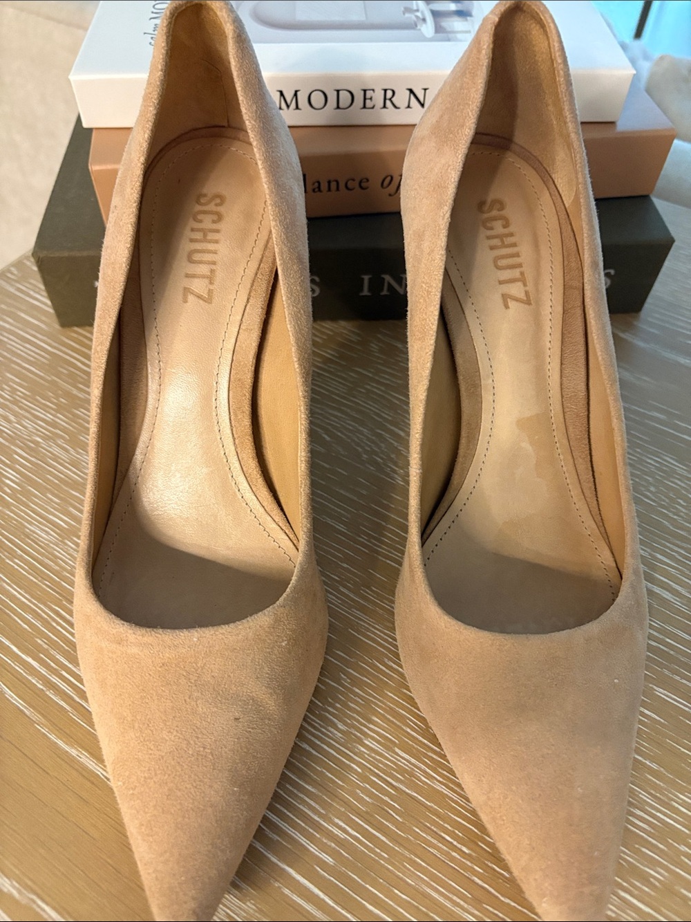 SCHUTZ Suede Pointed Toe Pumps in Nude
